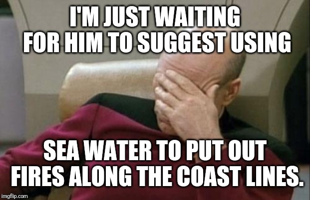 Captain Picard Facepalm Meme | I'M JUST WAITING FOR HIM TO SUGGEST USING SEA WATER TO PUT OUT FIRES ALONG THE COAST LINES. | image tagged in memes,captain picard facepalm | made w/ Imgflip meme maker