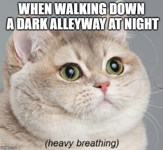 Alleyway fun | WHEN WALKING DOWN A DARK ALLEYWAY AT NIGHT | image tagged in memes,heavy breathing cat,scary,oof,alleyways,cats | made w/ Imgflip meme maker