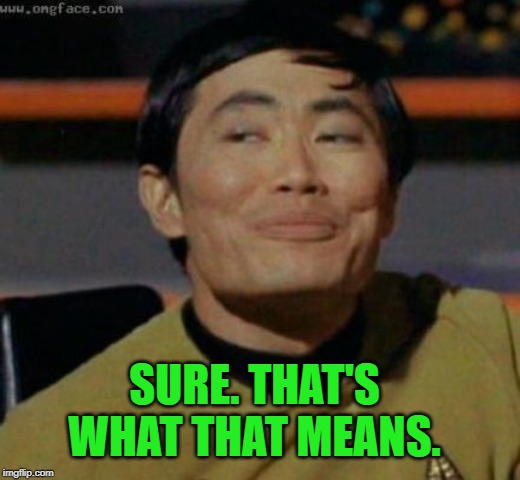 sulu | SURE. THAT'S WHAT THAT MEANS. | image tagged in sulu | made w/ Imgflip meme maker