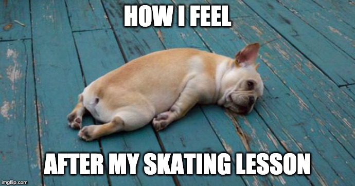 Exhausted  | HOW I FEEL; AFTER MY SKATING LESSON | image tagged in exhausted | made w/ Imgflip meme maker