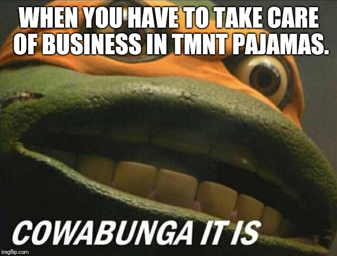 Cowabunga it is | WHEN YOU HAVE TO TAKE CARE OF BUSINESS IN TMNT PAJAMAS. | image tagged in cowabunga it is | made w/ Imgflip meme maker