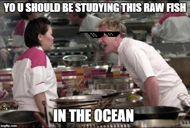 Angry Chef Gordon Ramsay | YO U SHOULD BE STUDYING THIS RAW FISH; IN THE OCEAN | image tagged in memes,angry chef gordon ramsay | made w/ Imgflip meme maker