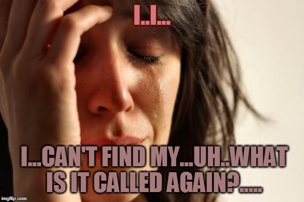 First World Problems | I..I... I...CAN'T FIND MY...UH..WHAT IS IT CALLED AGAIN?..... | image tagged in memes,first world problems | made w/ Imgflip meme maker