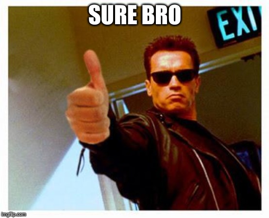 terminator thumbs up | SURE BRO | image tagged in terminator thumbs up | made w/ Imgflip meme maker