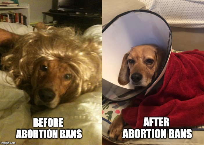 BEFORE ABORTION BANS; AFTER ABORTION BANS | image tagged in abortionbans,political,handmaids | made w/ Imgflip meme maker