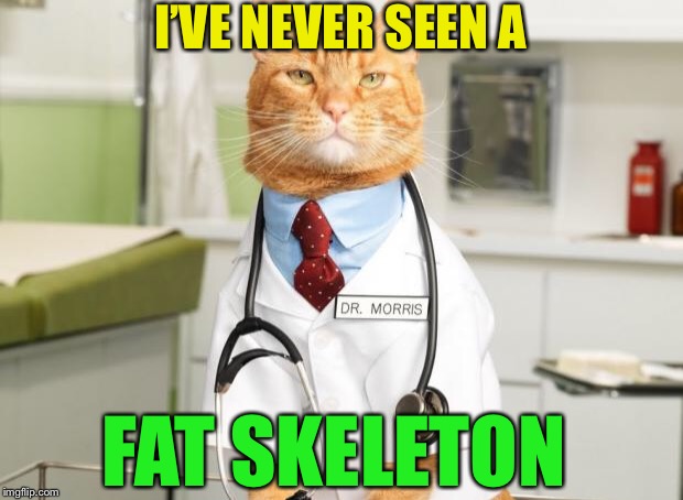 Cat Doctor | I’VE NEVER SEEN A FAT SKELETON | image tagged in cat doctor | made w/ Imgflip meme maker