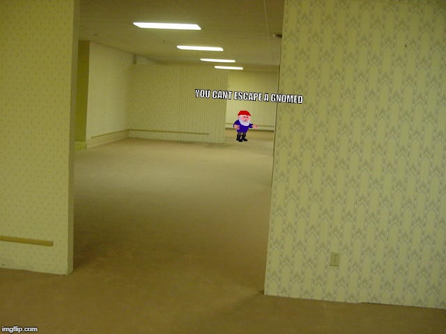 The backrooms but... | YOU CANT ESCAPE A GNOMED | image tagged in the backrooms,really spooky | made w/ Imgflip meme maker