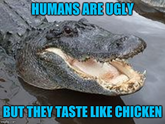 Alligator Wut | HUMANS ARE UGLY BUT THEY TASTE LIKE CHICKEN | image tagged in alligator wut | made w/ Imgflip meme maker
