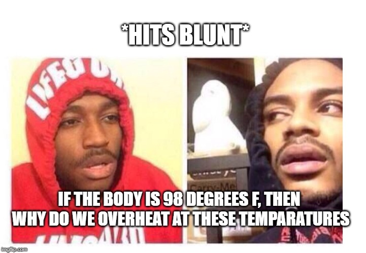 Hits blunt | *HITS BLUNT*; IF THE BODY IS 98 DEGREES F, THEN WHY DO WE OVERHEAT AT THESE TEMPARATURES | image tagged in hits blunt | made w/ Imgflip meme maker