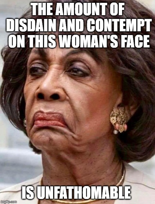 I've never seen someone more persistently disgusted | THE AMOUNT OF DISDAIN AND CONTEMPT ON THIS WOMAN'S FACE; IS UNFATHOMABLE | image tagged in maxine waters,disdain,contempt | made w/ Imgflip meme maker