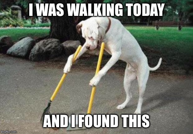 Dog poop | I WAS WALKING TODAY; AND I FOUND THIS | image tagged in dog poop | made w/ Imgflip meme maker