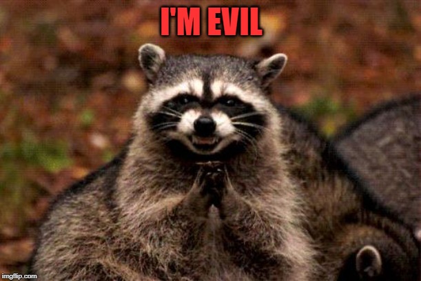Evil Plotting Raccoon Meme | I'M EVIL | image tagged in memes,evil plotting raccoon | made w/ Imgflip meme maker