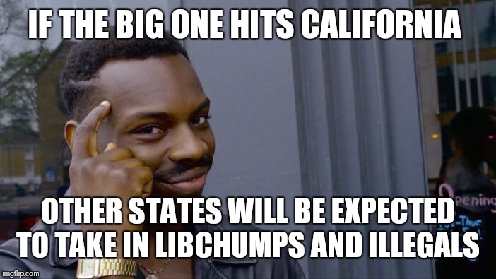 Roll Safe Think About It Meme | IF THE BIG ONE HITS CALIFORNIA; OTHER STATES WILL BE EXPECTED TO TAKE IN LIBCHUMPS AND ILLEGALS | image tagged in memes,roll safe think about it | made w/ Imgflip meme maker