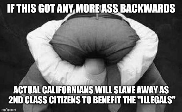 Head up ass  | IF THIS GOT ANY MORE ASS BACKWARDS ACTUAL CALIFORNIANS WILL SLAVE AWAY AS 2ND CLASS CITIZENS TO BENEFIT THE "ILLEGALS" | image tagged in head up ass | made w/ Imgflip meme maker