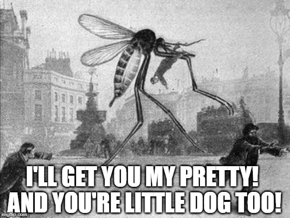 Mosquito Attack | I'LL GET YOU MY PRETTY! AND YOU'RE LITTLE DOG TOO! | image tagged in mosquito attack | made w/ Imgflip meme maker