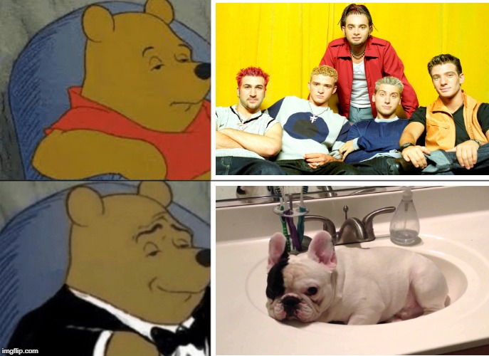 Heh... | image tagged in memes,tuxedo winnie the pooh,pets,music | made w/ Imgflip meme maker