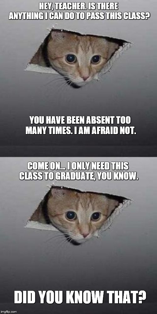 I only need this class to graduate! | HEY, TEACHER. IS THERE ANYTHING I CAN DO TO PASS THIS CLASS? YOU HAVE BEEN ABSENT TOO MANY TIMES. I AM AFRAID NOT. COME ON... I ONLY NEED THIS CLASS TO GRADUATE, YOU KNOW. DID YOU KNOW THAT? | image tagged in memes,ceiling cat | made w/ Imgflip meme maker