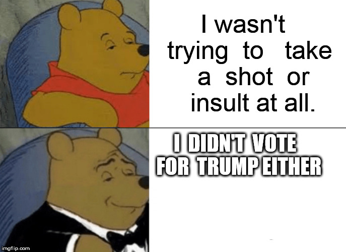 Tuxedo Winnie The Pooh Meme | I wasn't  trying  to   take  a  shot  or  insult at all. I  DIDN'T  VOTE  FOR  TRUMP EITHER | image tagged in memes,tuxedo winnie the pooh | made w/ Imgflip meme maker