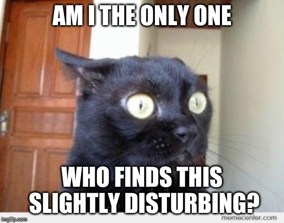 Scared Cat | AM I THE ONLY ONE WHO FINDS THIS SLIGHTLY DISTURBING? | image tagged in scared cat | made w/ Imgflip meme maker