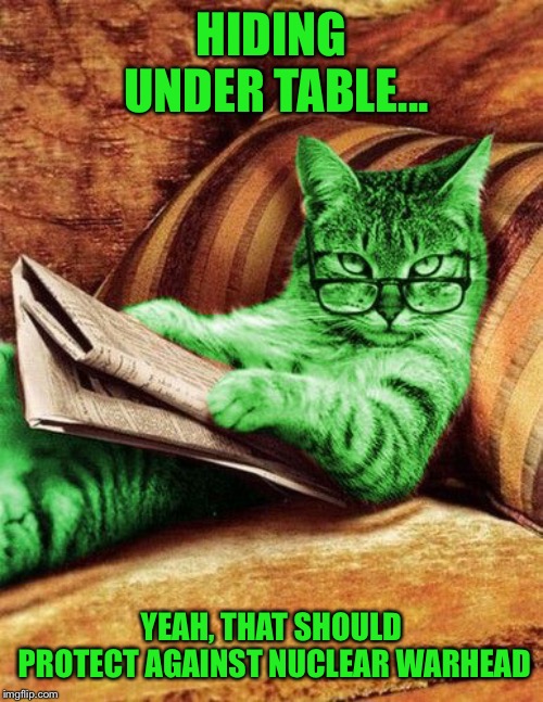 Factual RayCat | HIDING UNDER TABLE... YEAH, THAT SHOULD PROTECT AGAINST NUCLEAR WARHEAD | image tagged in factual raycat | made w/ Imgflip meme maker