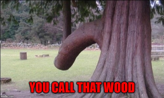 YOU CALL THAT WOOD | made w/ Imgflip meme maker