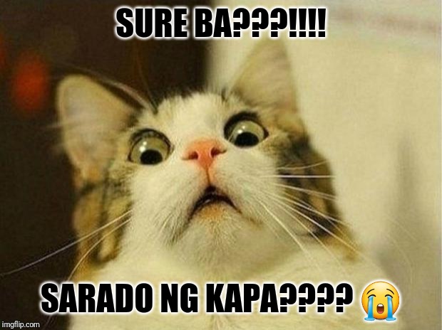 Scared Cat Meme | SURE BA???!!!! SARADO NG KAPA???? 😭 | image tagged in memes,scared cat | made w/ Imgflip meme maker