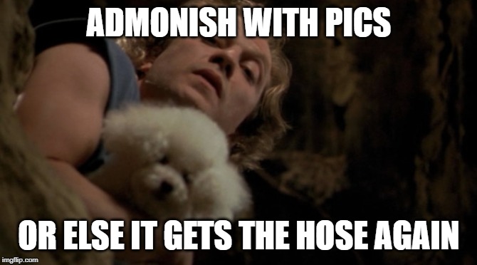 ADMONISH WITH PICS; OR ELSE IT GETS THE HOSE AGAIN | made w/ Imgflip meme maker