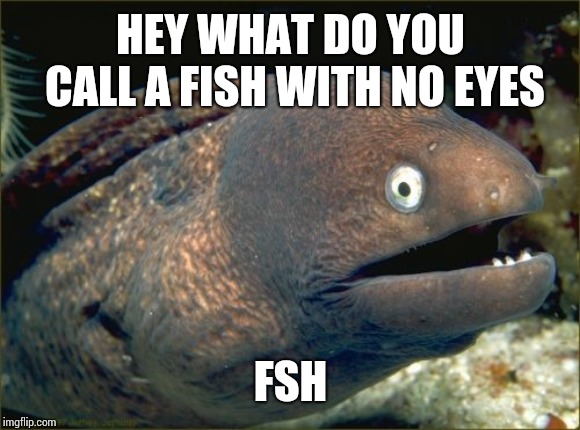 Bad Joke Eel | HEY WHAT DO YOU CALL A FISH WITH NO EYES; FSH | image tagged in memes,bad joke eel | made w/ Imgflip meme maker