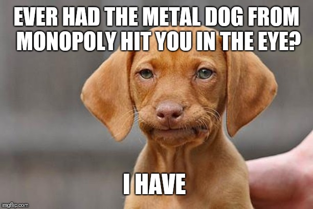 Dissapointed puppy | EVER HAD THE METAL DOG FROM MONOPOLY HIT YOU IN THE EYE? I HAVE | image tagged in dissapointed puppy | made w/ Imgflip meme maker