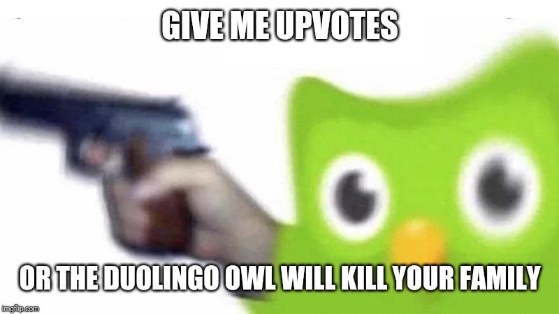 duolingo gun | GIVE ME UPVOTES; OR THE DUOLINGO OWL WILL KILL YOUR FAMILY | image tagged in duolingo gun,duolingo,memes | made w/ Imgflip meme maker