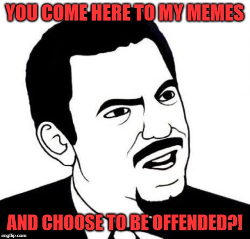 Seriously Face Meme | YOU COME HERE TO MY MEMES AND CHOOSE TO BE OFFENDED?! | image tagged in memes,seriously face | made w/ Imgflip meme maker