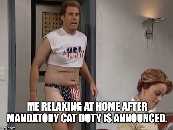 ME RELAXING AT HOME AFTER MANDATORY CAT DUTY IS ANNOUNCED. | image tagged in work | made w/ Imgflip meme maker