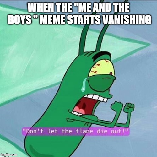 WHEN THE "ME AND THE BOYS " MEME STARTS VANISHING | image tagged in funny memes,dont let the flame die out | made w/ Imgflip meme maker