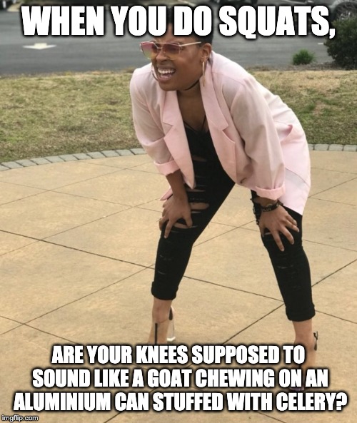 Squat and Squint Meme | WHEN YOU DO SQUATS, ARE YOUR KNEES SUPPOSED TO SOUND LIKE A GOAT CHEWING ON AN ALUMINIUM CAN STUFFED WITH CELERY? | image tagged in squat and squint meme | made w/ Imgflip meme maker