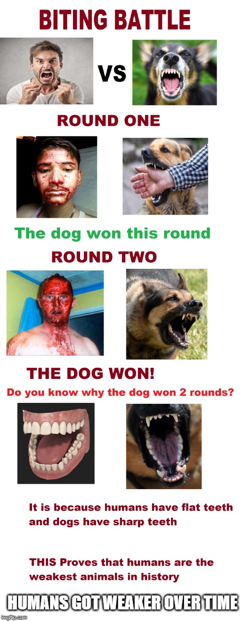 humans vs dogs | HUMANS GOT WEAKER OVER TIME | image tagged in humans vs dogs | made w/ Imgflip meme maker