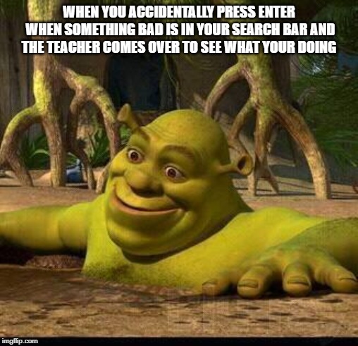 shreck | WHEN YOU ACCIDENTALLY PRESS ENTER WHEN SOMETHING BAD IS IN YOUR SEARCH BAR AND THE TEACHER COMES OVER TO SEE WHAT YOUR DOING | image tagged in shreck | made w/ Imgflip meme maker