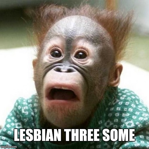 Shocked Monkey | LESBIAN THREE SOME | image tagged in shocked monkey | made w/ Imgflip meme maker