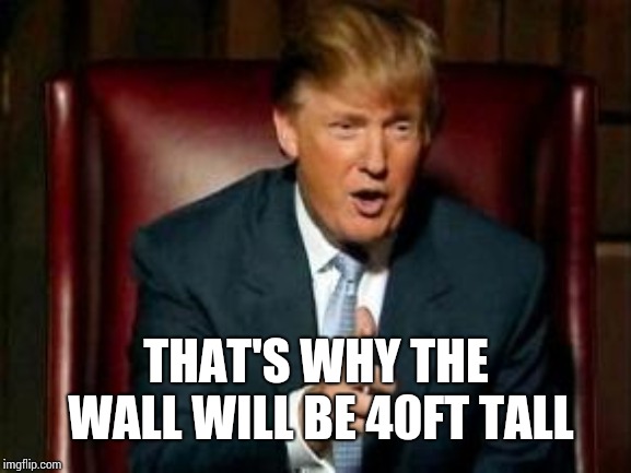 Donald Trump | THAT'S WHY THE WALL WILL BE 40FT TALL | image tagged in donald trump | made w/ Imgflip meme maker