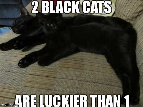 image tagged in mister and mischief   | made w/ Imgflip meme maker