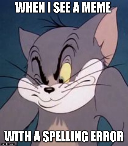 To be or not to be a grammar nazi | WHEN I SEE A MEME; WITH A SPELLING ERROR | image tagged in tom cat | made w/ Imgflip meme maker