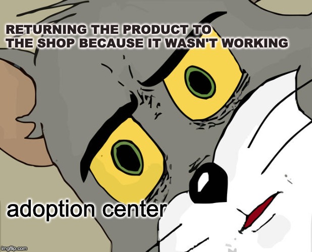 Unsettled Tom Meme | RETURNING THE PRODUCT TO THE SHOP BECAUSE IT WASN'T WORKING; adoption center | image tagged in memes,unsettled tom | made w/ Imgflip meme maker