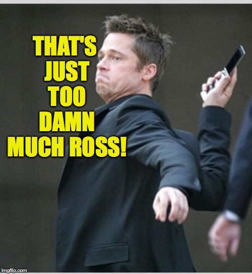 Brad Pitt throwing phone | THAT'S JUST TOO DAMN MUCH ROSS! | image tagged in brad pitt throwing phone | made w/ Imgflip meme maker