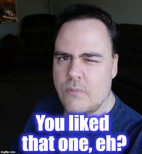 wink | You liked that one, eh? | image tagged in wink | made w/ Imgflip meme maker