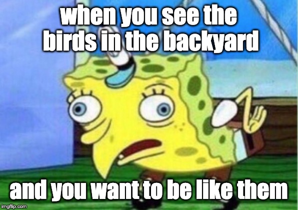 Mocking Spongebob | when you see the birds in the backyard; and you want to be like them | image tagged in memes,mocking spongebob | made w/ Imgflip meme maker