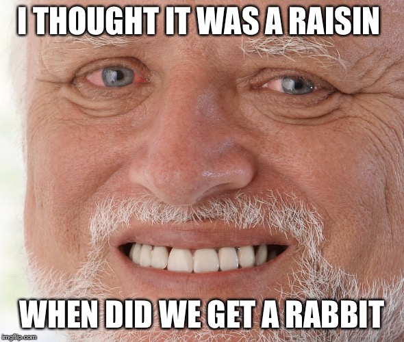 Hide the Pain Harold | I THOUGHT IT WAS A RAISIN; WHEN DID WE GET A RABBIT | image tagged in hide the pain harold | made w/ Imgflip meme maker