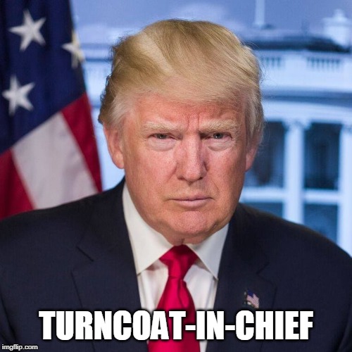 No CIA for NK | TURNCOAT-IN-CHIEF | image tagged in no cia for nk,trump,traitor | made w/ Imgflip meme maker