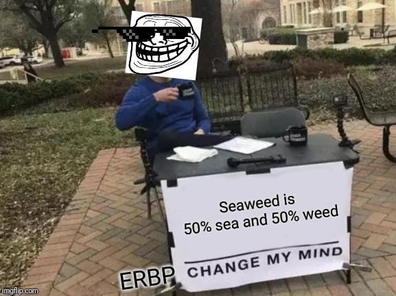 Change My Mind | Seaweed is 50% sea and 50% weed; ERBP | image tagged in memes,change my mind | made w/ Imgflip meme maker