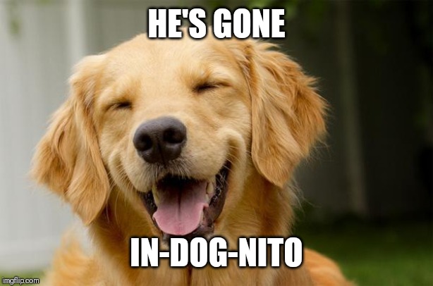Happy Dog | HE'S GONE IN-DOG-NITO | image tagged in happy dog | made w/ Imgflip meme maker