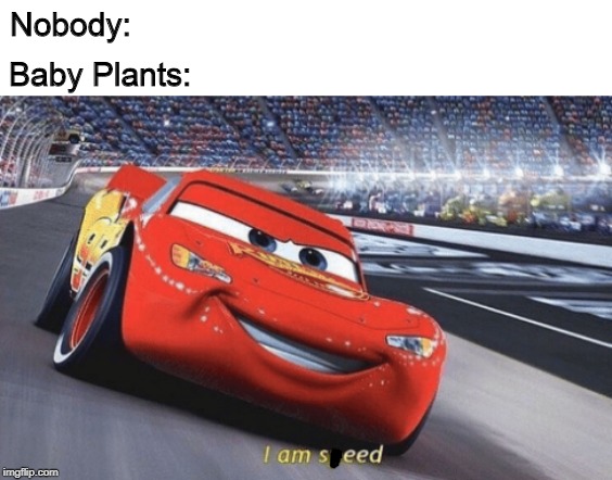 I am speed | Nobody:; Baby Plants: | image tagged in i am speed | made w/ Imgflip meme maker