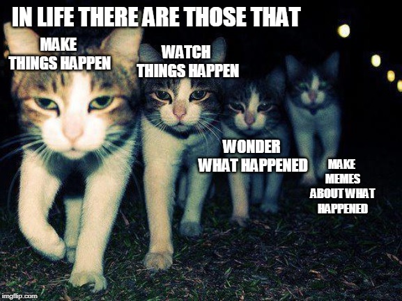 Ringo is still my favorite. | IN LIFE THERE ARE THOSE THAT; MAKE THINGS HAPPEN; WATCH THINGS HAPPEN; WONDER WHAT HAPPENED; MAKE MEMES ABOUT WHAT HAPPENED | image tagged in cats,make things happen | made w/ Imgflip meme maker
